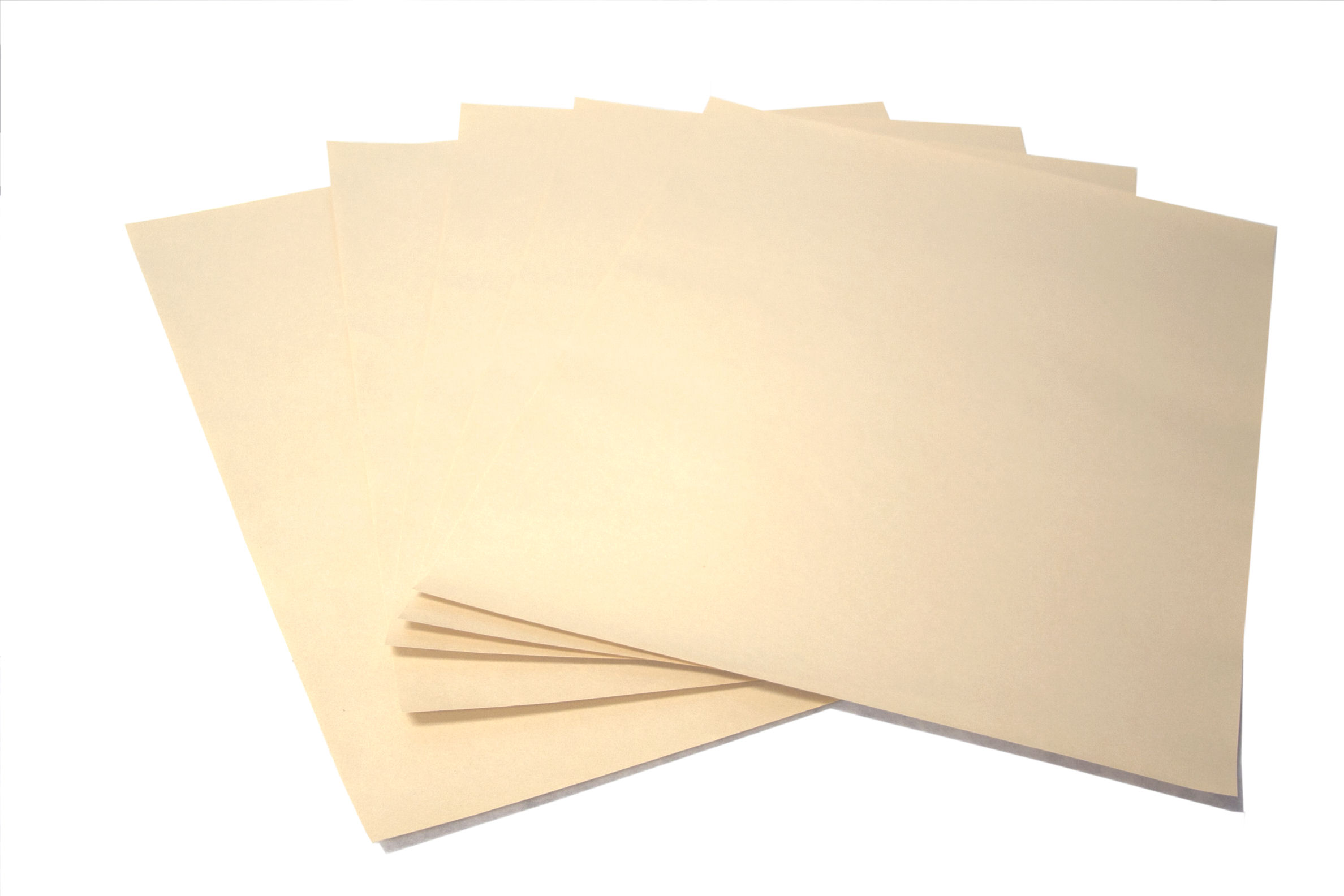 Paper House Parchment Paper 15x16.5 Inches Precut 30 Sheets/Pack 30 Sheets